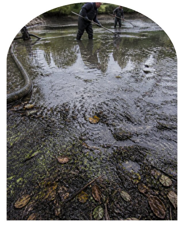 Очистка пруда в Белове от ила мусора и водорослей с вывозом